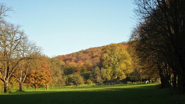 In Blickrichtung Streuobstwiese. ... | Foto: © Silvia Plischek