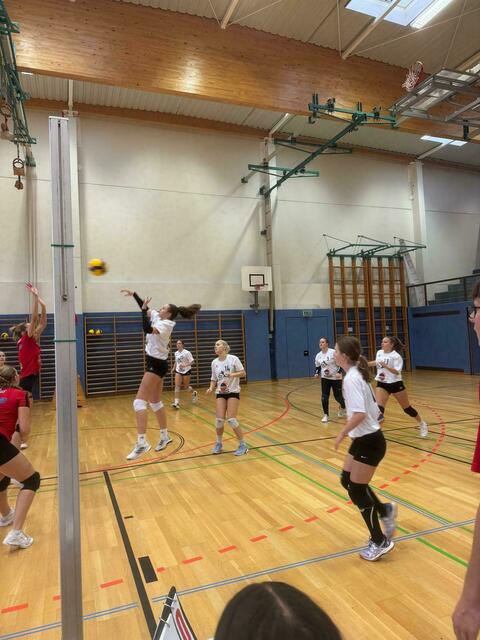Im Volleyball ist das Borg Perg höchst erfolgreich. | Foto: BORG Perg