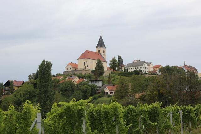 St. Anna am Aigen ist nicht nur ein guter Boden für Wein, sondern auch für erfolgreiches Unternehmertum. | Foto: MeinBezirk