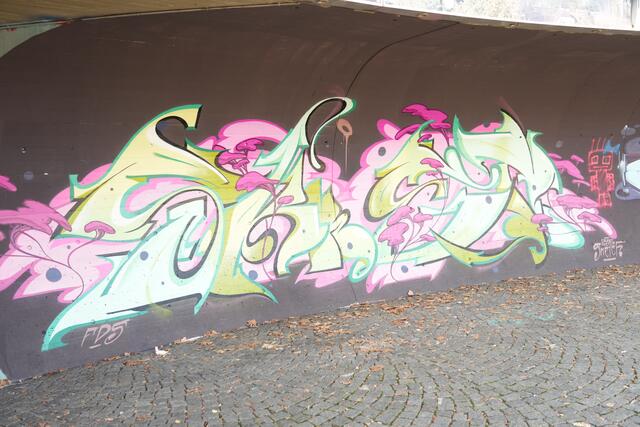 Foto: Julia Perktold