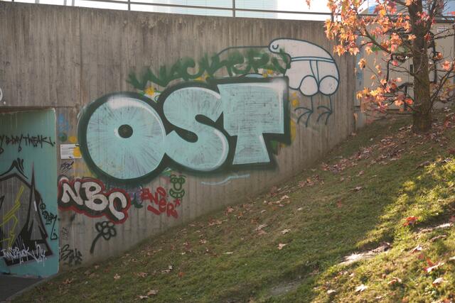 Foto: Julia Perktold