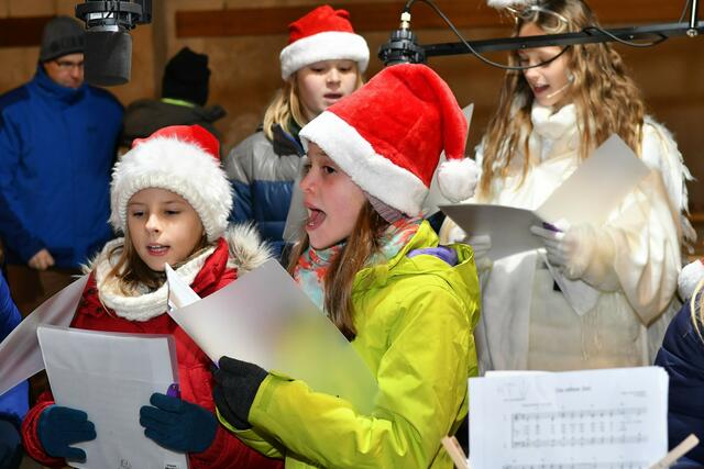 Natürlich werden beim Bauernadvent auch Weihnachtslieder gesungen. | Foto: Spitzauer/MeinBezirk