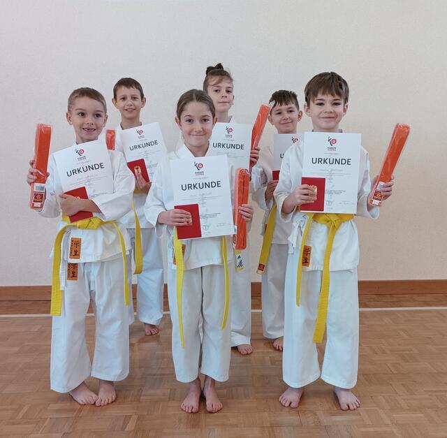 Hinten: Noah, Marco und Felix, Vorne: Emil, Anna und Sebastian. | Foto: Frieways-Karateklub