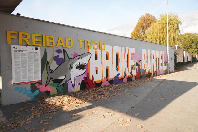 Künstler: Bartel
Entstehungsjahr: 2022 | Foto: Julia Perktold