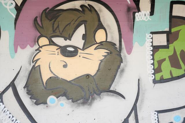 Foto: Julia Perktold