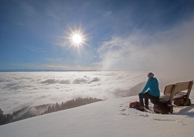 Im Winter gibt es ein buntes Outdoor- und Indoor-Programm in Hohentauern. | Foto: Pixabay