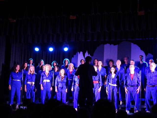 Choriosum begeistert mit einer Mischung aus traditionellen und modernen südtiroler Liedern. | Foto: Otto Zeisler