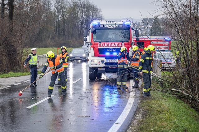 Foto: TEAM FOTOKERSCHI.AT/Antonio Bayer