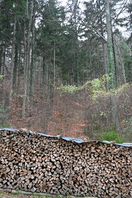 Da sieht man eine Markierung, aber keinen Weg, ich gehe wieder zurück zur Straße
