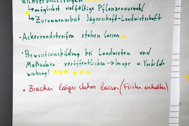 Foto: Schrödl Gerhard