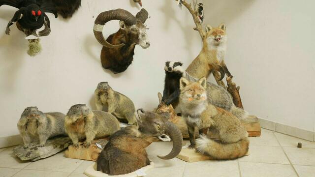 Foto: © Südkino / ServusTV