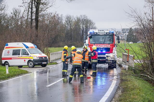 Foto: TEAM FOTOKERSCHI.AT/Antonio Bayer