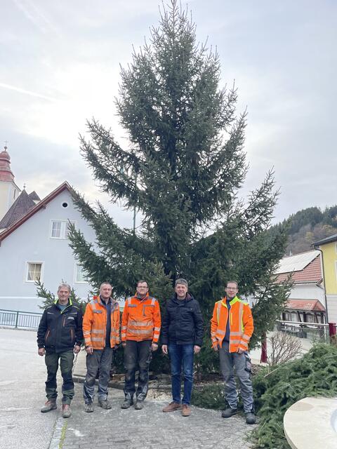 Das Team des Gemeindebauhofes übernahm anschließend die Montage der Beleuchtung des Baumes. | Foto: Marktgemeinde Frankenfels
