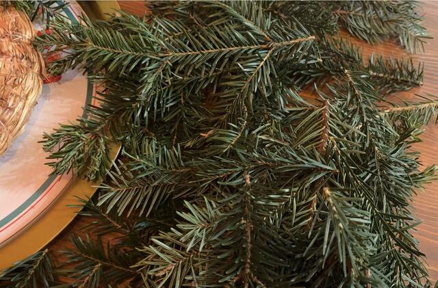 Du benötigst einige Zweige. | Foto: MeinBezirk/Gerold