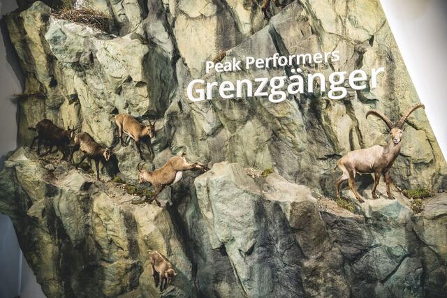 Haus der Steinböcke | Foto: Hannes Pacheiner