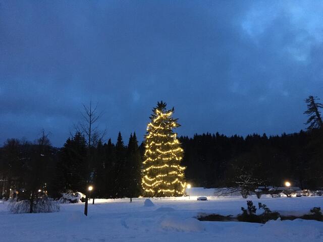 erstrahlt immer zur Weihnachtszeit, in einem festlichen Kleid aus Lichterketten, im Warmbader Park in den Villacher Wäldern- einfach wunderbar!