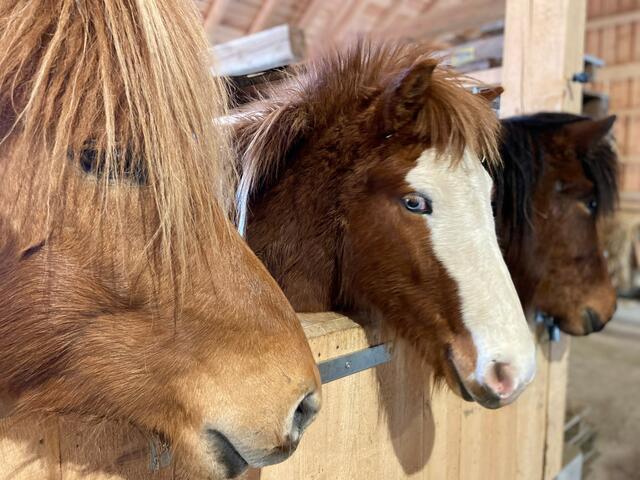 Foto: © Südkino / ServusTV