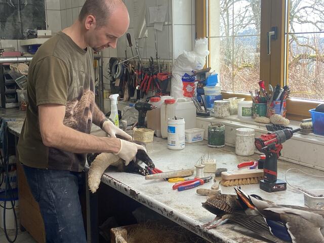 Foto: © Südkino / ServusTV