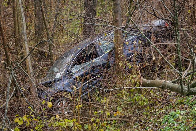 Foto: TEAM FOTOKERSCHI.AT/Antonio Bayer