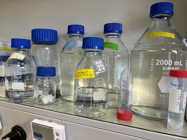 Proben, die spezielle mikrobiologische Untersuchungen erfordern, folgen einem standardisierten Workflow, der klare Zeitfenster vorsieht. | Foto: Victoria Edlinger