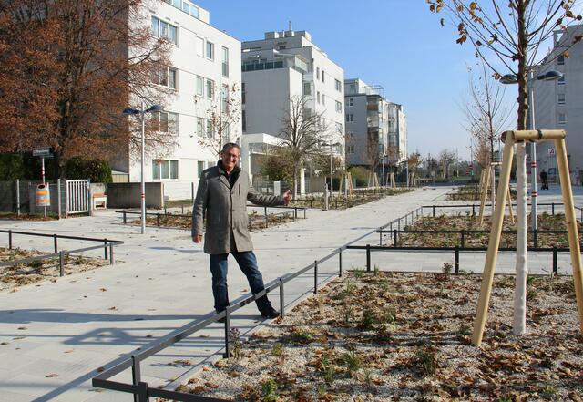 Der Theumermarkt in Neu-Stammersdorf wurde entsiegelt und begrünt. Bezirksvorsteher Georg Papai (SPÖ) zeigt sich begeistert. | Foto: BV21