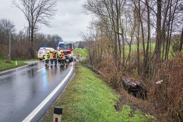 Foto: TEAM FOTOKERSCHI.AT/Antonio Bayer