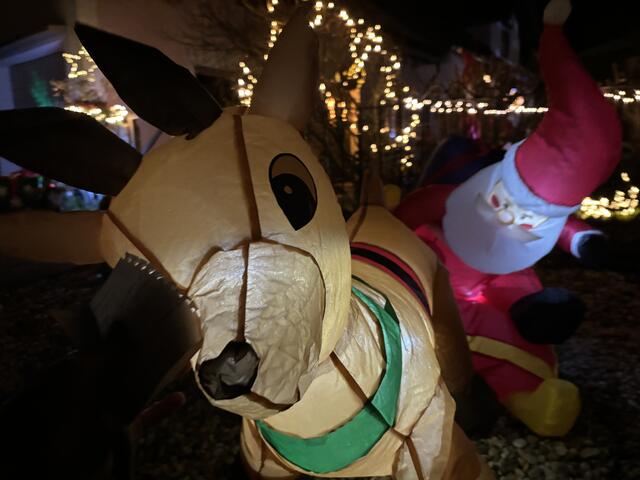 Foto: Martina Schweller