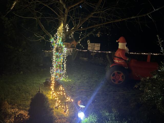 Foto: Martina Schweller