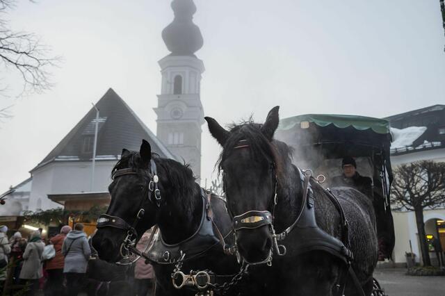 Kostenlose Pferdeschlittenfahrten machen den Besuch auch für die kleinen Gäste zu einem unvergesslichen Erlebnis. | Foto: TVB Faistenau