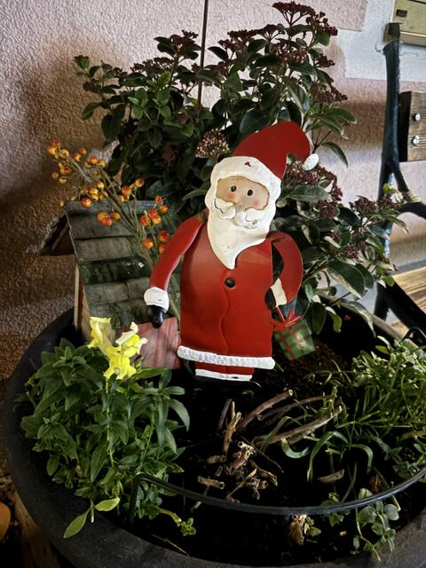 Foto: Martina Schweller