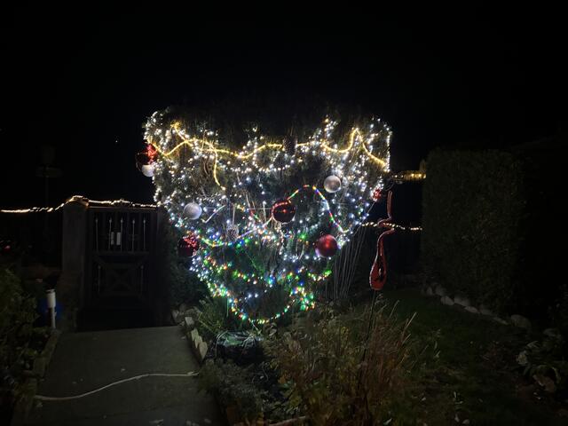 Foto: Martina Schweller