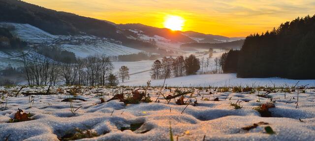 Herrlich begrüßt uns der Montagmorgen im Bezirk Rohrbach. | Foto: Helga Grimps