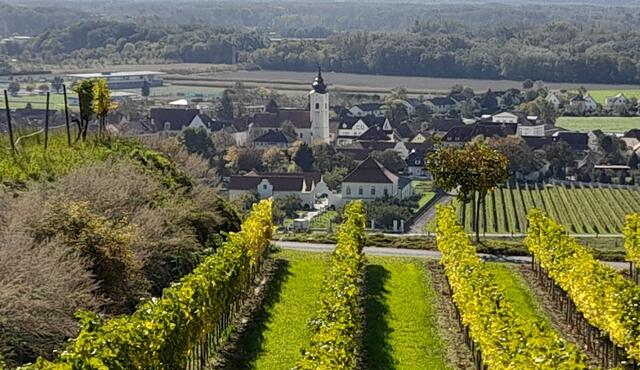 In der Pfarrkirche findet das Konzert statt. | Foto: Gde. Rohrendorf