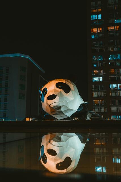 Ab 1. Dezember wird die Sichuan-Hauptstadt Chengdu von Wien aus dreimal wöchentlich direkt angeflogen. (Symbolbild) | Foto:  SnaptoSnack/Unsplash