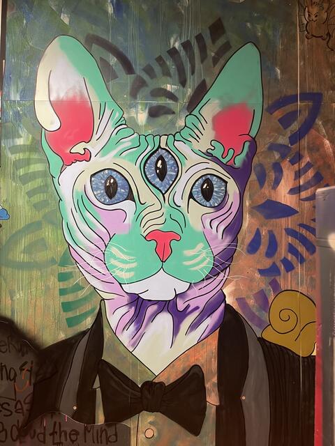 Eine Katze mit dem dritten Auge | Foto: Josef Goldhofer