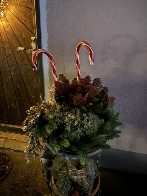 Foto: Martina Schweller