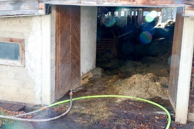 Foto: Bilder cc. Mlakar Media