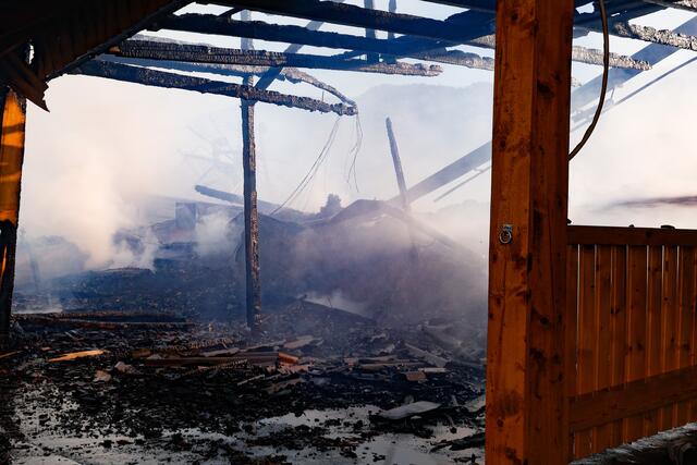 Foto: Bilder cc. Mlakar Media