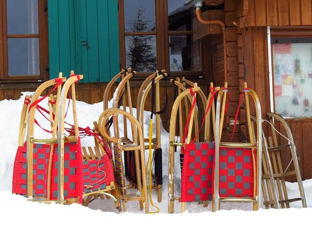 Winterspaß 2024: Schlittenfahren bleibt ein Klassiker. Viele Menschen setzen in diesem Jahr auf gebrauchte Ausrüstung - auch als Geschenk. | Foto: Pixabay/Hans