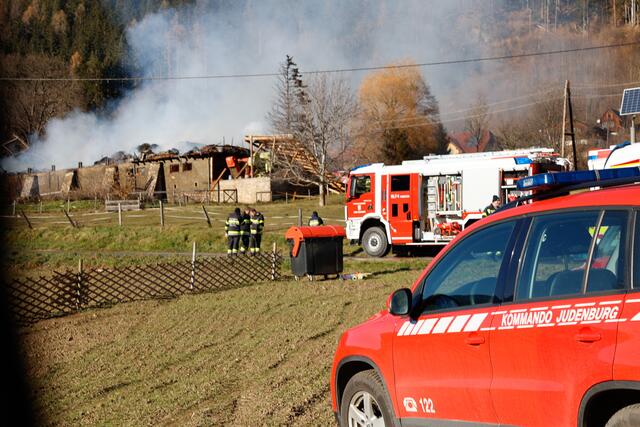 Foto: Bilder cc. Mlakar Media