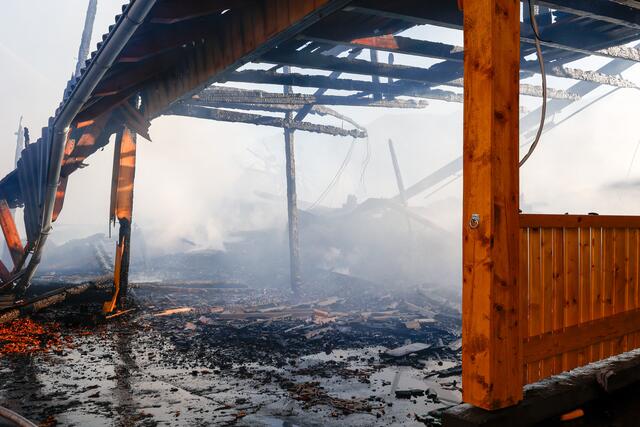 Foto: Bilder cc. Mlakar Media