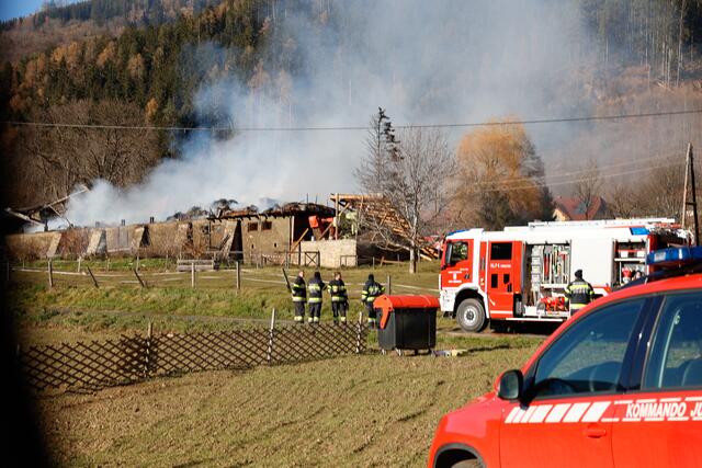 Foto: Bilder cc. Mlakar Media