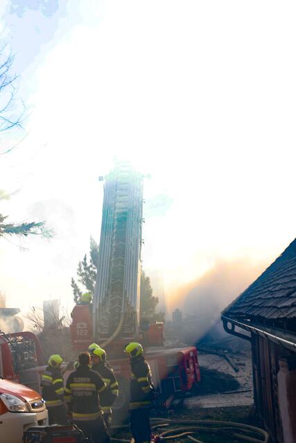 Foto: Bilder cc. Mlakar Media