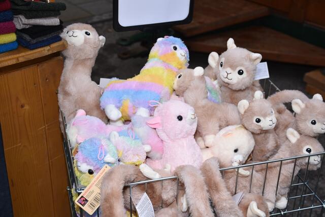 Foto: Robert Zinterhof