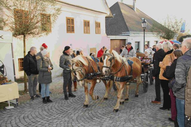 Foto: Peter Seper