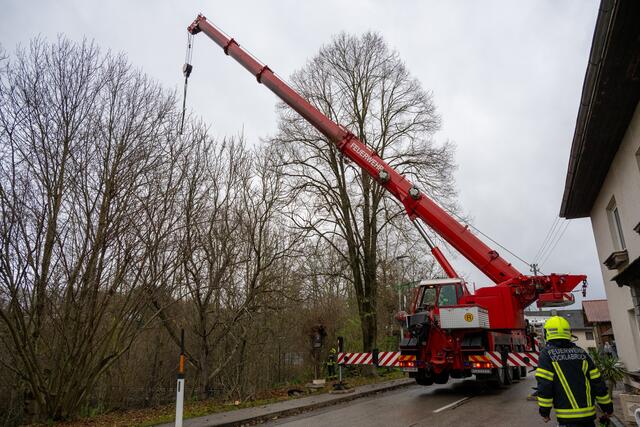 Foto: team fotokerschi.at/Matthias Kaltenleitner