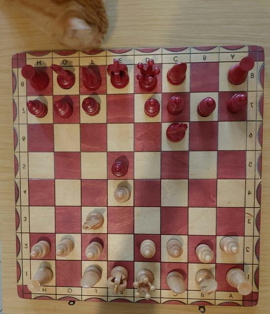 Schach ist eines der Spiele, die beim Spiele-Café zur Wahl stünden. | Foto: Schreiner