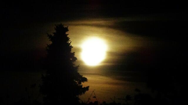 Der Supermond (wie hier im Bild) leuchtet besonders hell. | Foto: © Silvia Plischek