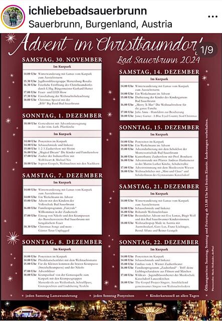 Foto: Alejandra Ortiz