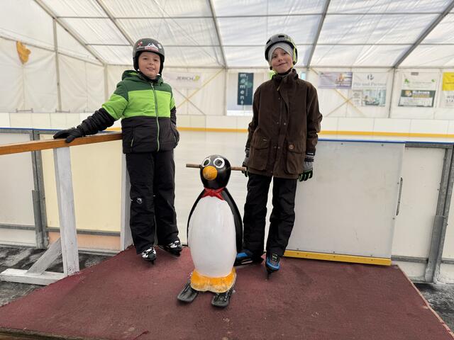 Um die Pinguine ist ein G'riss. Nicht nur unter den Kleinsten. | Foto: Stadtmarketing